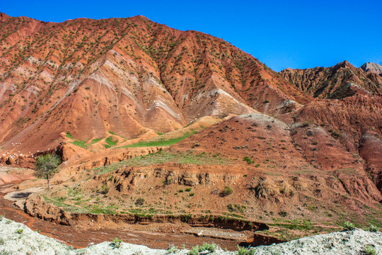 新疆石河子南山风景区