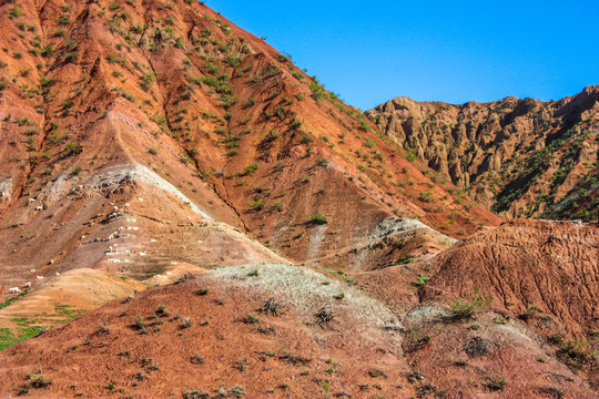 新疆石河子南山风景区