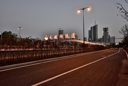 合肥天鹅湖隧道夜景