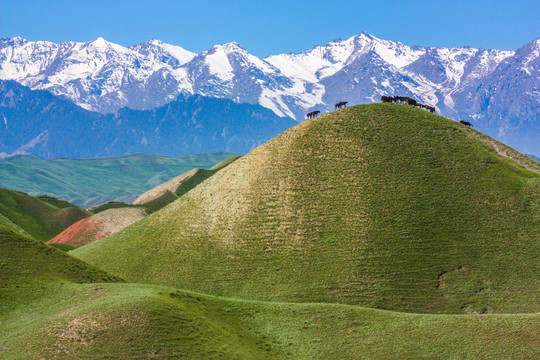 新疆石河子南山风景区