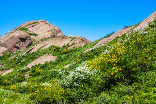 新疆石河子南山风景区