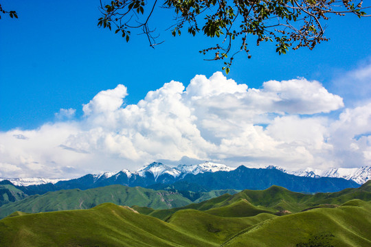 新疆石河子南山风景区