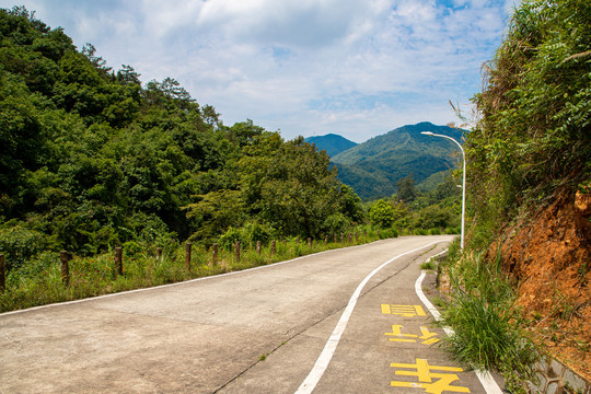 《厦门天竺山森林公园》