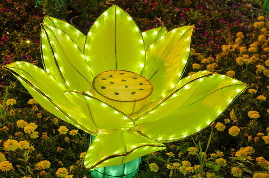 公园莲花造型装饰灯