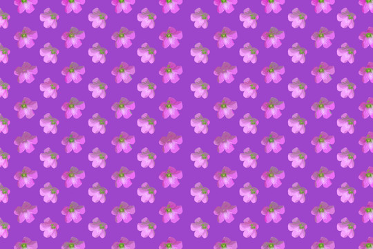 紫色花朵印花布图案