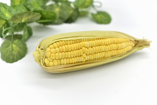 新鮮玉米