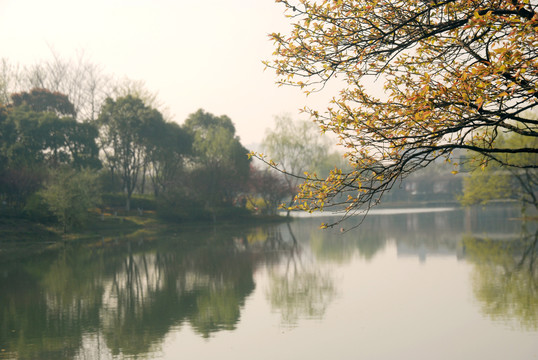 春景与倒影