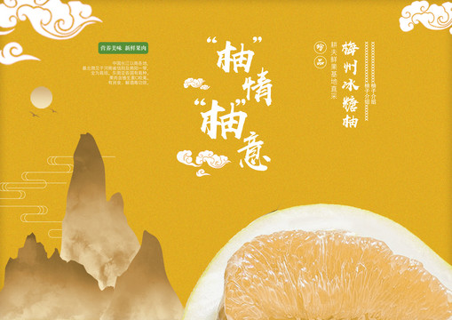 柚子大氣中國(guó)風(fēng)銷售系列廣告海報(bào)