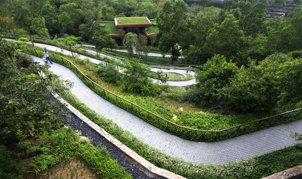 深圳西丽生态公园园区建筑