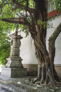 泉州承天寺