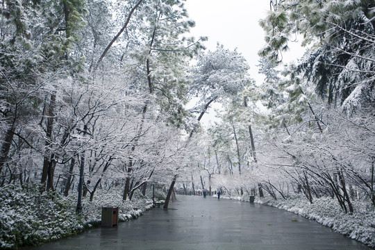 灵隐雪景