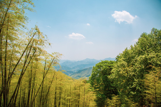 莫干山风景区