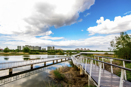 蓝天湿地风景