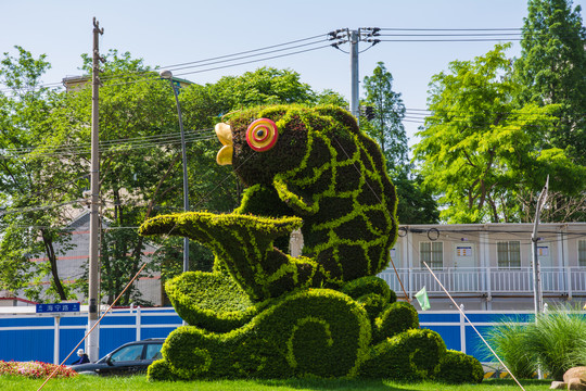 鲤鱼植物雕塑