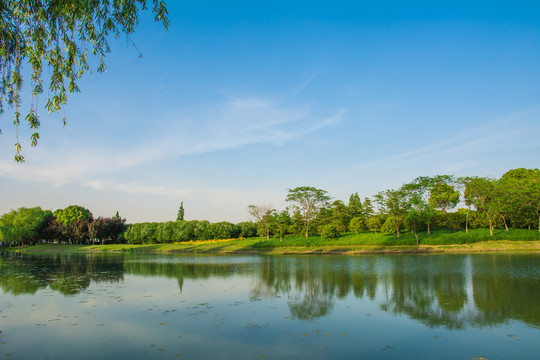 人工湖风景