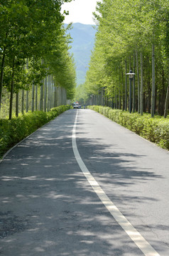 道路