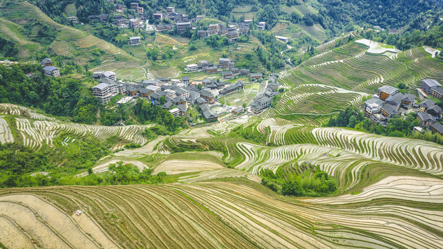 龙脊梯田