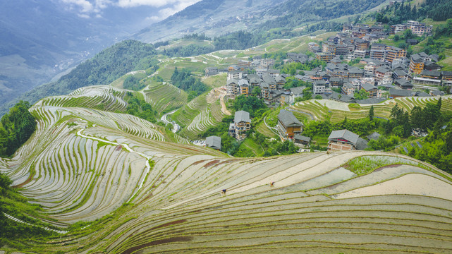 龙脊梯田