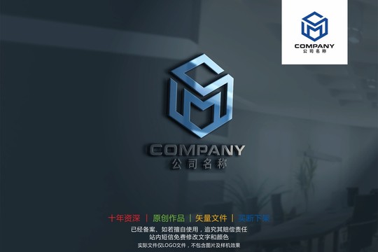 SM字母MS六边形标志logo