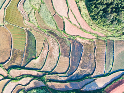 航拍乡村田园风光