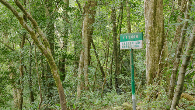 五指山热带雨林风景区