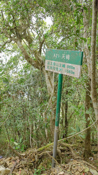 海南五指山热带雨林公园