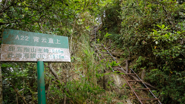 海南五指山热带雨林公园