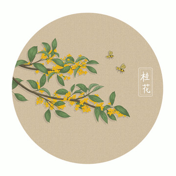 桂花插畫