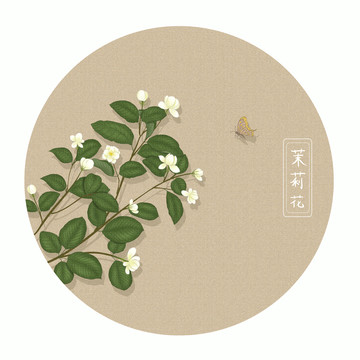 茉莉花蝴蝶插画