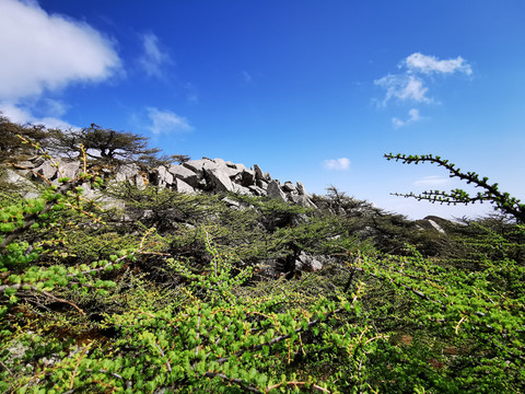 秦岭