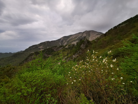 秦岭之巅