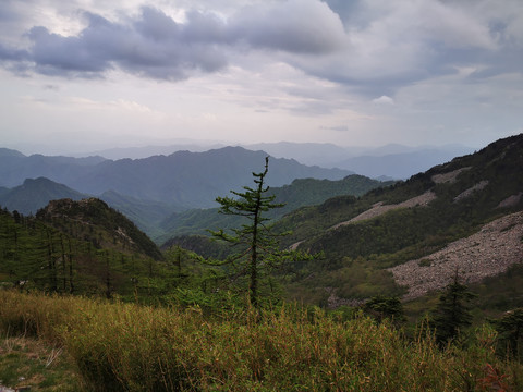 秦岭