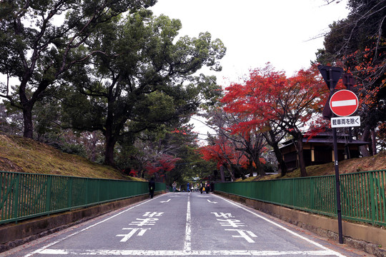 日本道路