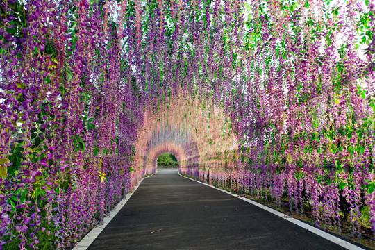 紫藤花園