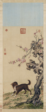 郎世寧花底仙尨圖