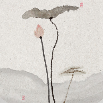 水墨荷花寫意荷花寫意花鳥