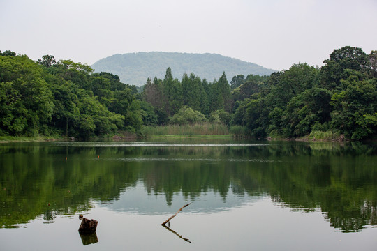 倒影山水