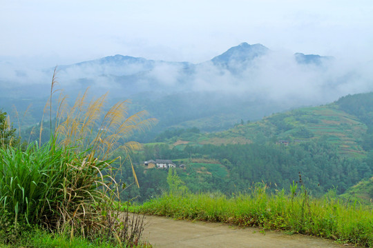 云起汇湾P