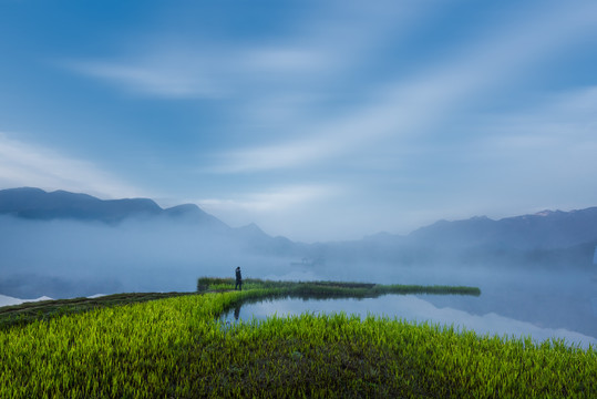 中国神农架大九湖