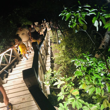 带灯光条的登山梯