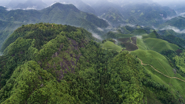 大山