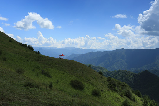 平利草甸BI