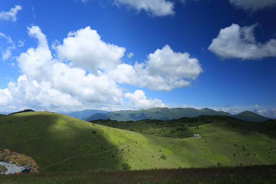 平利草甸N