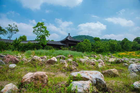 合肥十里长冲美景