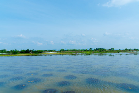 黄陂湖