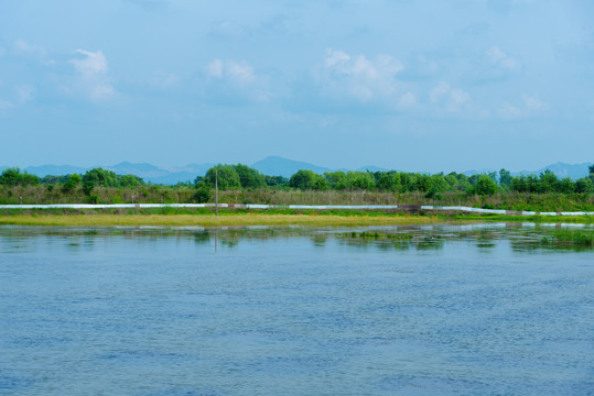 黄陂湖