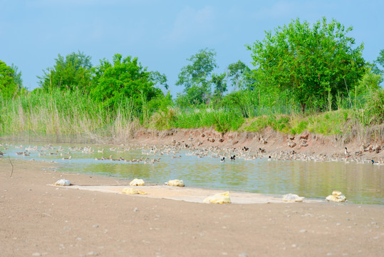 黄陂湖