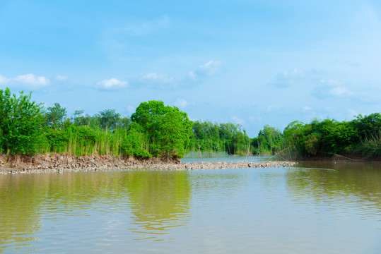 黄陂湖