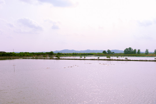 黄陂湖