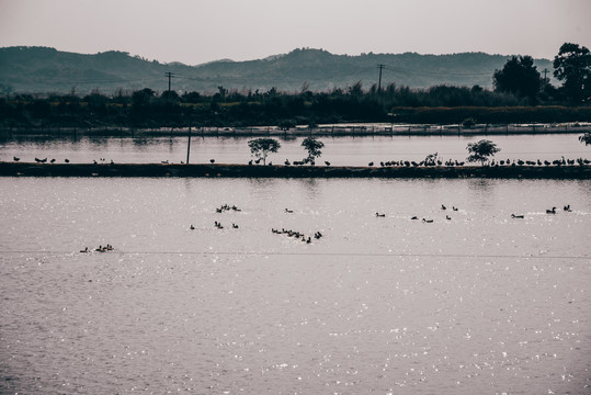 黄陂湖